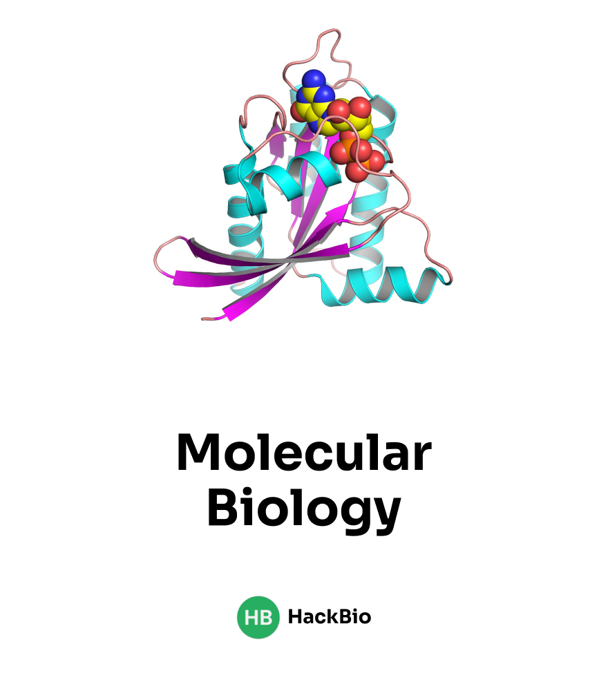 Introduction to Molecular Biology | Image